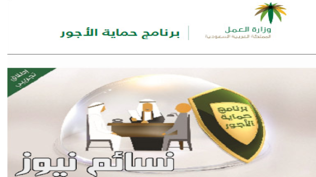 برنامج حماية الأجور .. وزارة العمل توقف عدة خدمات عن منشأة لم تلتزم بصرف رواتب عمالها وتسليط غرامة مالية