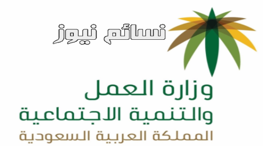 بشرى لرواد ورائدات العمل الحر في المملكة العربية السعودية .. إصدار وثائق وترخيص بمزاولة الأنشطة ضمن برنامج العمل الحر