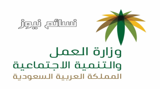 توطين البقالات … تعرف على تعليق وزارة العمل والتنمية الإجتماعية على لسان أبا الخيل